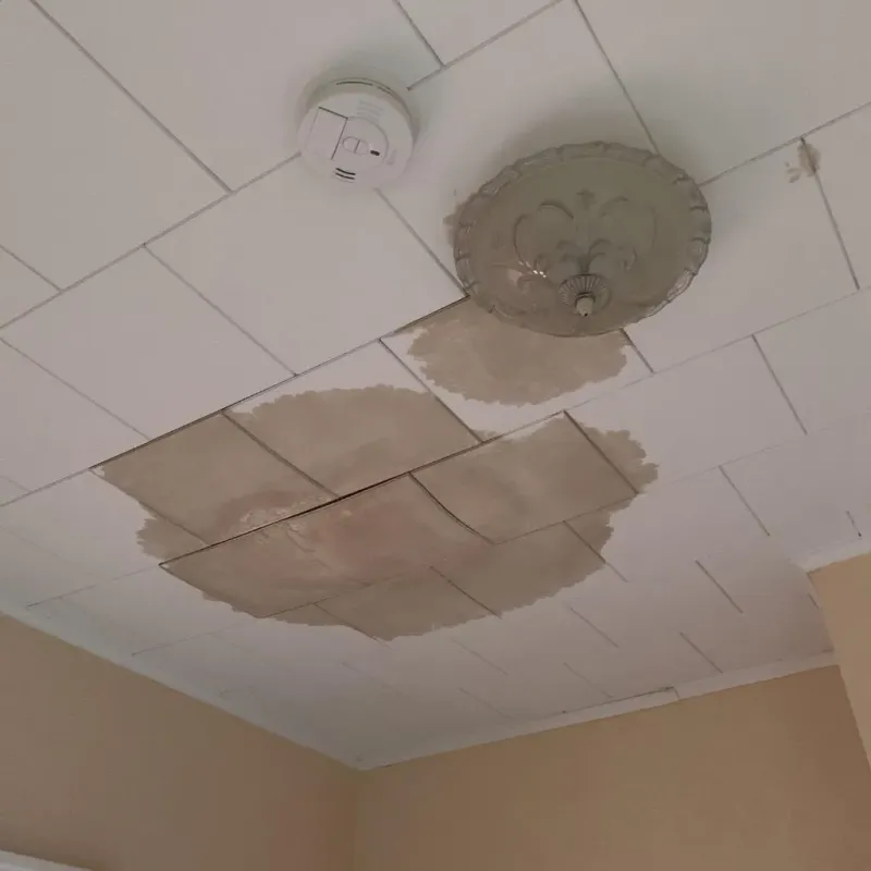 Ceiling Water Damage Repair in Bolivar, TN