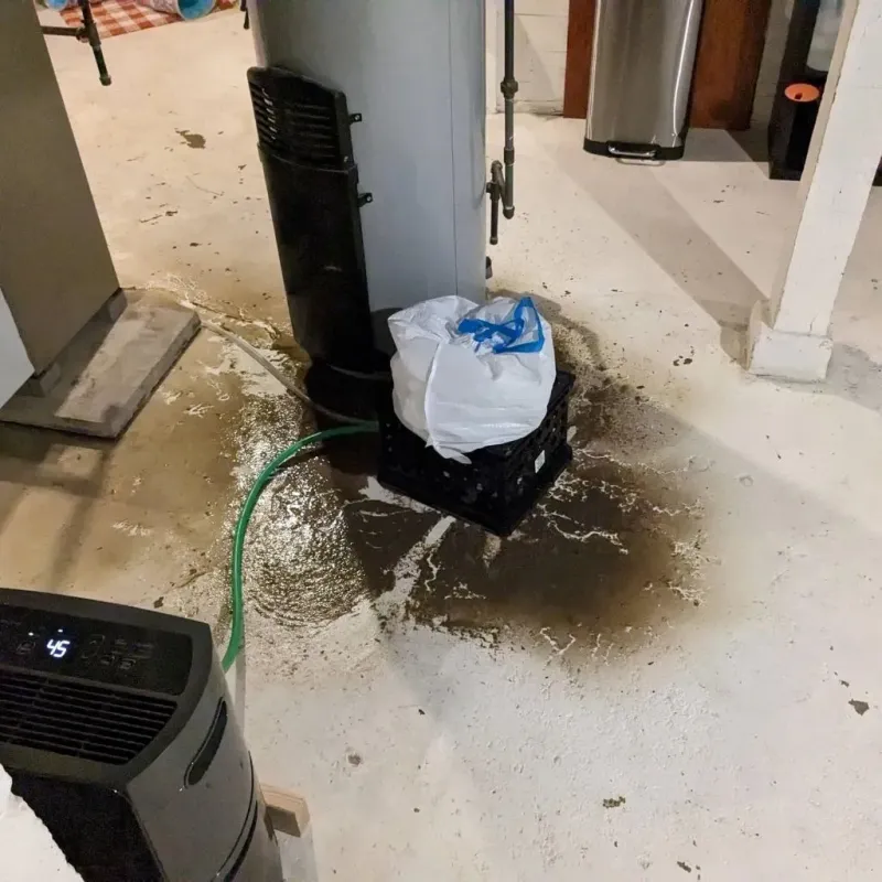 Sewage Backup Cleanup Service in Bolivar, TN